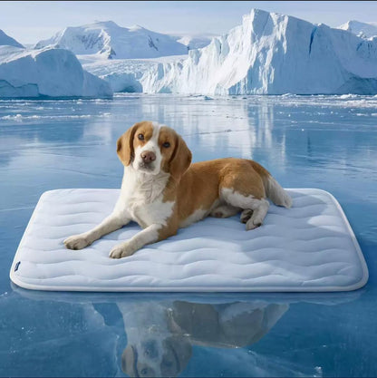 Pet Cooling Pad