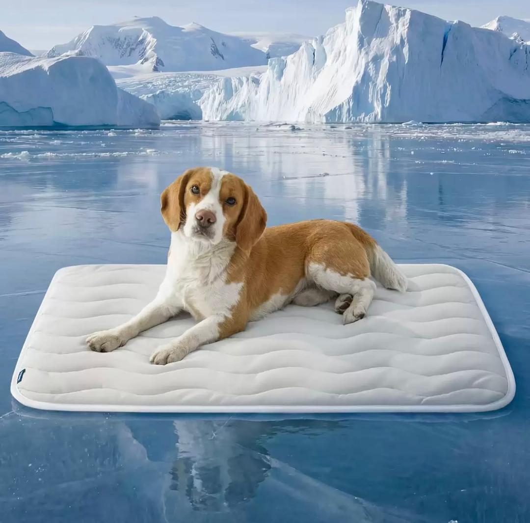 Pet Cooling Pad
