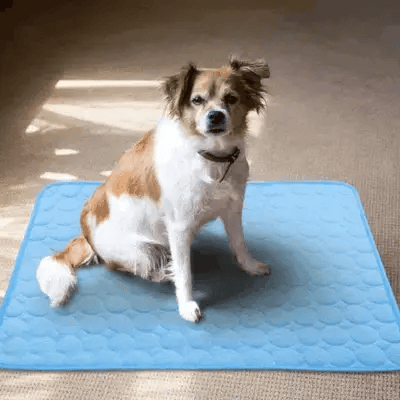 Pet Cooling Pad